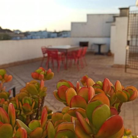 Atardeceres Surenos - Gran Terraza - Parking 赫雷斯 外观 照片